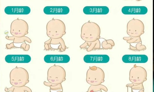 破尿酸是啥-破尿酸的功效是什么-专业破尿酸的功效是什么作用平台-破尿酸的功效是什么呢